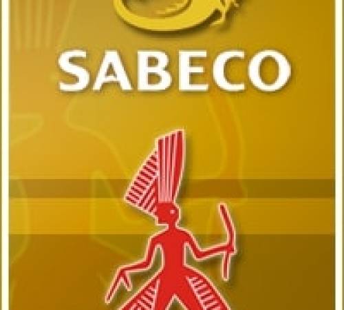 BSD: Tổ chức Đại hội Đồng Cổ đông thường niên năm 2020 - 02/13/2020