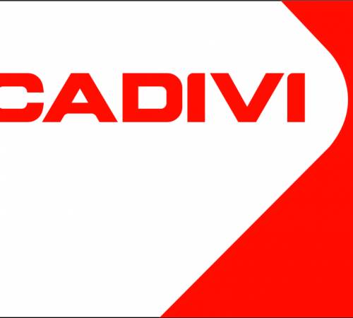 CAV: Tổ chức Đại hội Cổ đông Bất thường năm 1970 - 06/11/2019