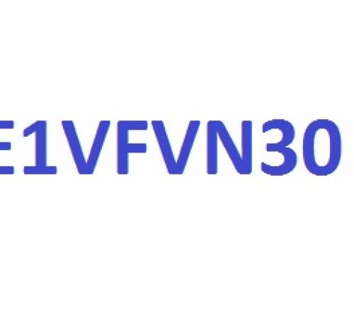 E1VFVN30: Thông báo về việc niêm yết và giao dịch chứng khoán thay đổi niêm yết - 03/30/2021