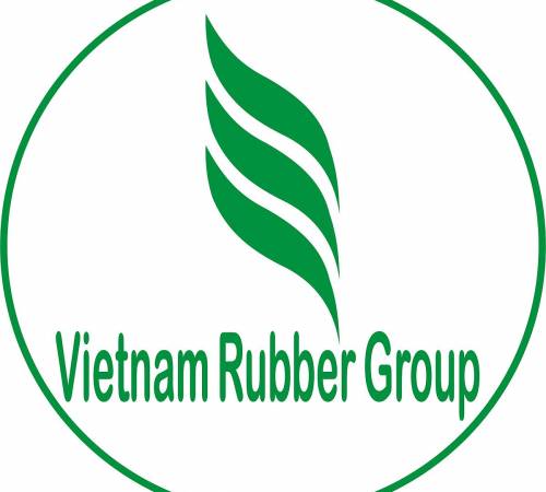 GVR: Tổ chức Đại hội Đồng Cổ đông thường niên năm 2021 - 03/12/2021