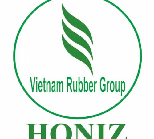 HIZ: Thực hiện Trả cổ tức bằng tiền mặt tỷ lệ 10.00% - 12/03/2019