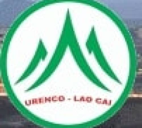 MLC: Thực hiện Trả cổ tức bằng tiền mặt tỷ lệ 10.06% - 06/16/2020