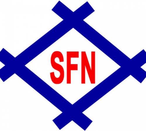 SFN: Thực hiện Trả cổ tức bằng tiền mặt tỷ lệ 7.00% - 01/11/2019