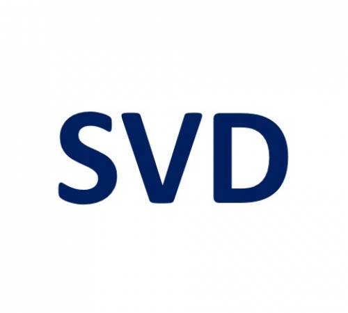 SVD: Tổ chức Đại hội Đồng Cổ đông thường niên năm 2021 - 03/30/2021