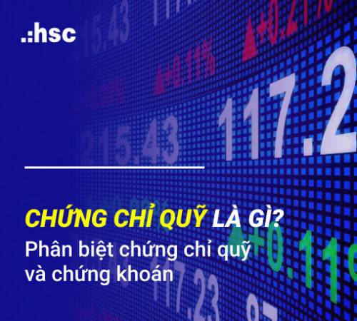 Chứng chỉ quỹ là gì? Phân biệt chứng chỉ quỹ và cổ phiếu trong chứng khoán