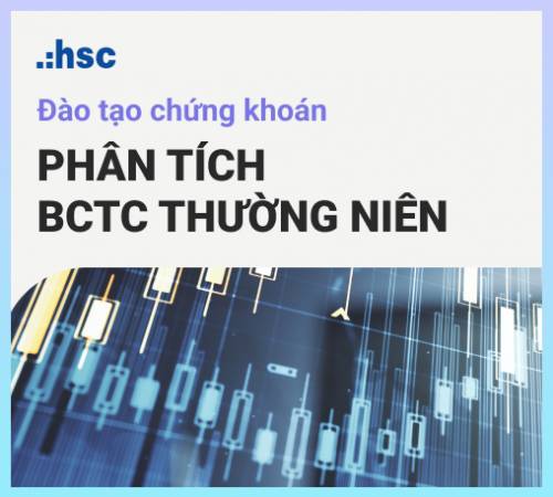 Báo cáo tài chính thường niên | Hướng dẫn đọc và phân tích 