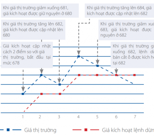 Có nên đặt lệnh chốt lời/dừng lỗ tự động trên HSC Winner Trade?