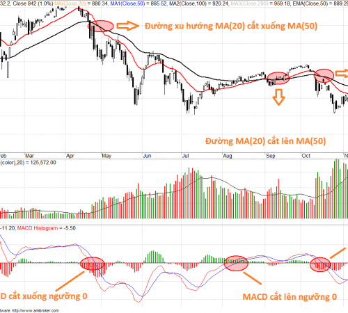 Ứng dụng chiến lược giao dịch theo dao động (Swing Trading)