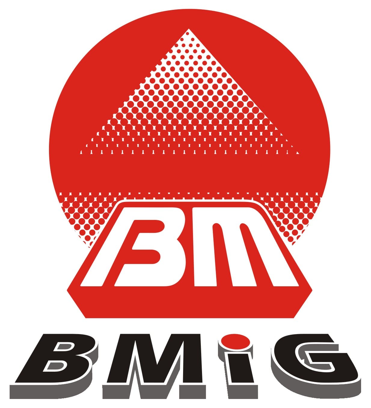 BMG: Tổ chức Đại hội Đồng Cổ đông thường niên năm 2019 - 22/03/2019