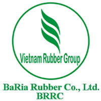 BRR: Thực hiện Trả cổ tức bằng tiền mặt tỷ lệ 1.00% - 06/16/2020