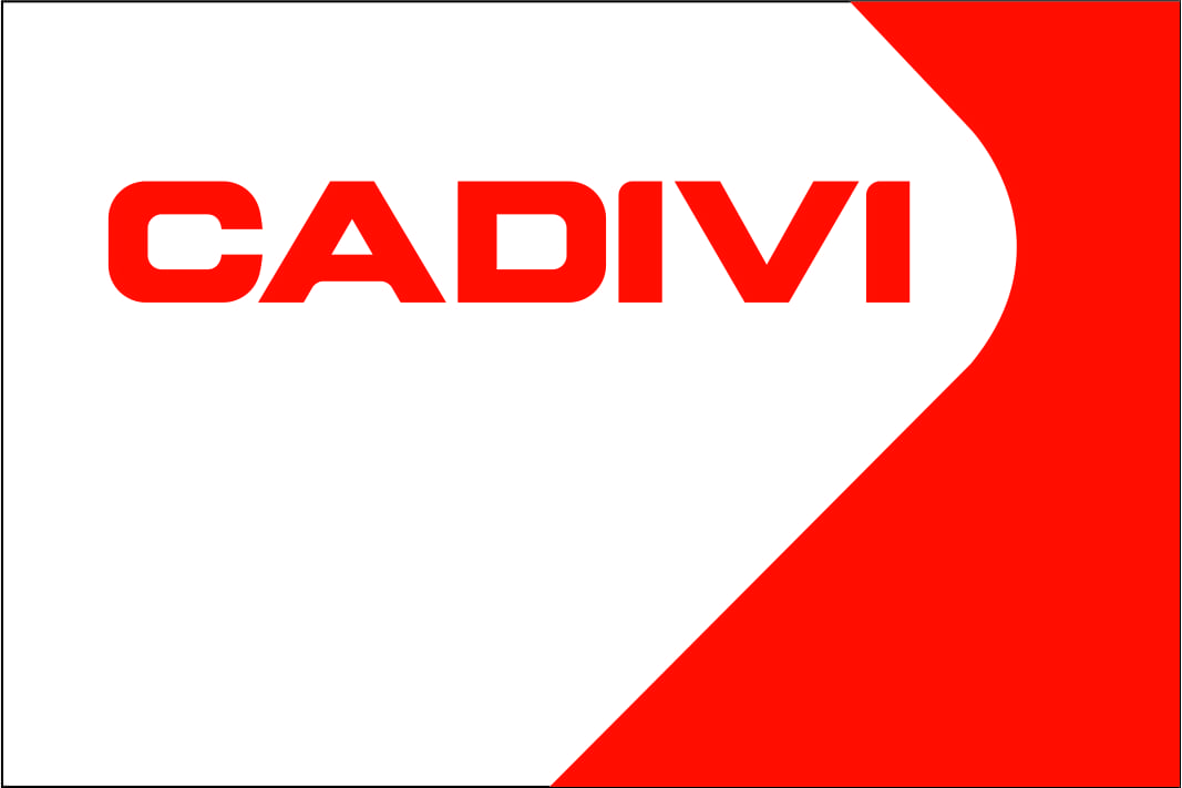 CAV: Thực hiện Trả cổ tức bằng tiền mặt tỷ lệ 30.00% - 01/15/2021