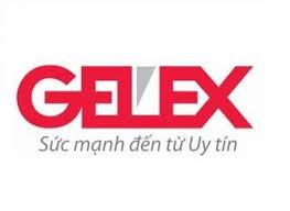GEX: Thực hiện Lấy ý kiến cổ đông bằng văn bản - 10/19/2020