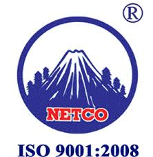 NET: Thực hiện Trả cổ tức bằng tiền mặt tỷ lệ 2.00% - 05/19/2020