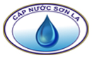 NSL: Thực hiện Trả cổ tức bằng tiền mặt tỷ lệ 6.30% - 01/18/2021