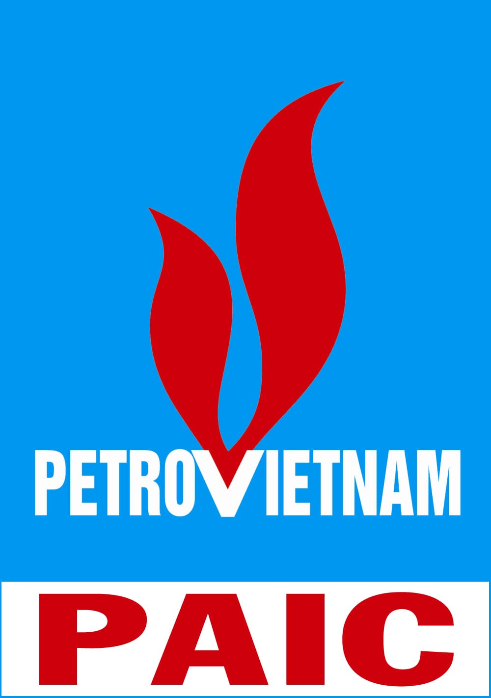 PAI: Thực hiện Trả cổ tức bằng tiền mặt tỷ lệ 4.00% - 12/17/2020