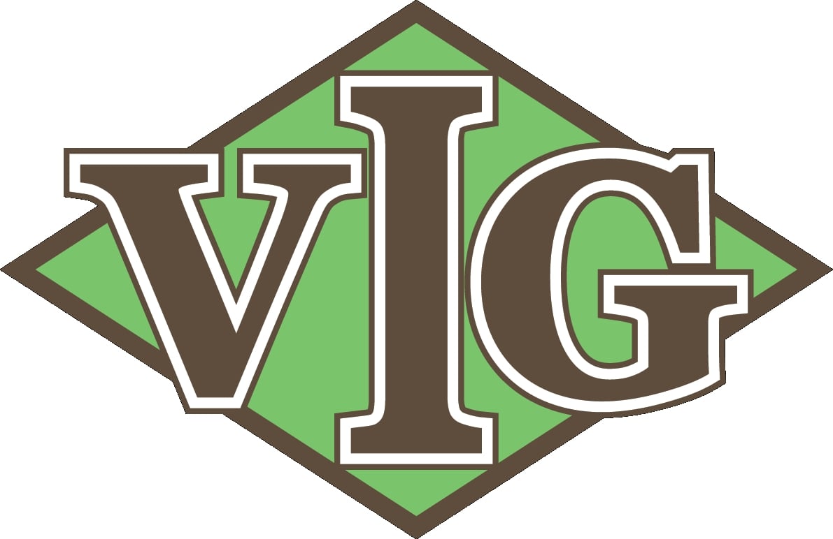 VIG: Tổ chức Đại hội Đồng Cổ đông thường niên năm 2019 - 29/03/2019